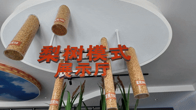 吉林玉米种子产业_吉林省农产品_吉林黑土地保护性耕作