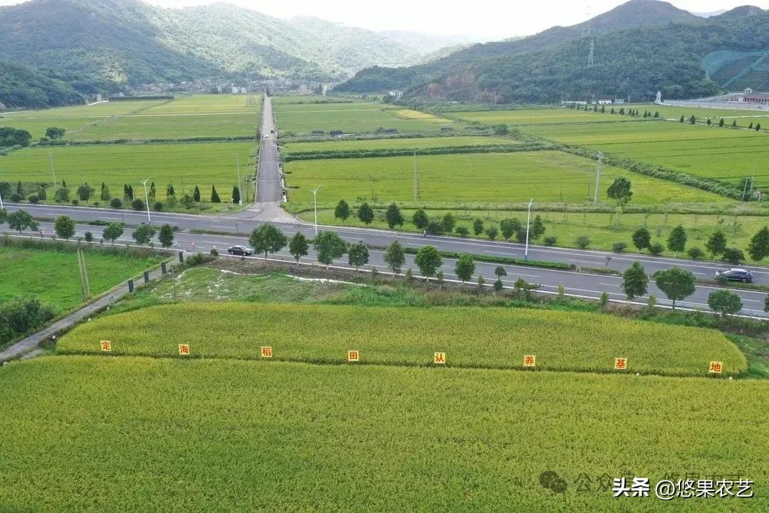 农产品物流发展趋势_农产品配送成本状况_宏观物流基础设施建设