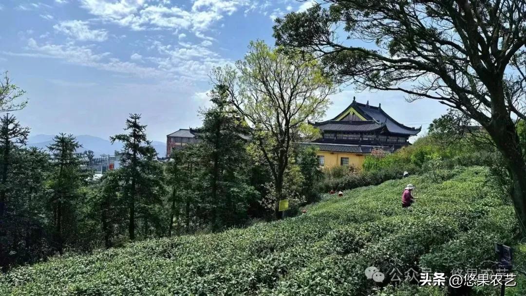 农产品配送成本状况_宏观物流基础设施建设_农产品物流发展趋势