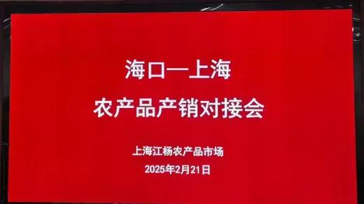 海口农产品流通市场调研_海南农产品流通公共信息服务平台_武汉四季美农贸城考察