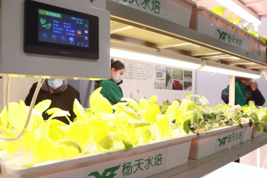 上海绿色农产品展销会_2023南通名特优新农产品上海展示展销会_南通特色农产品展销会