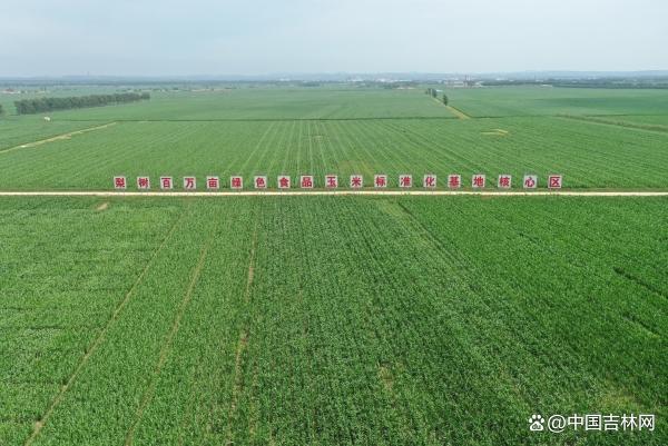吉林省黑土地保护_吉林省农产品_梨树模式秸秆还田