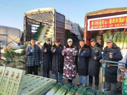 菜篮子米袋子果盘子：保障民生供应，新发地商户的春节坚守与奉献