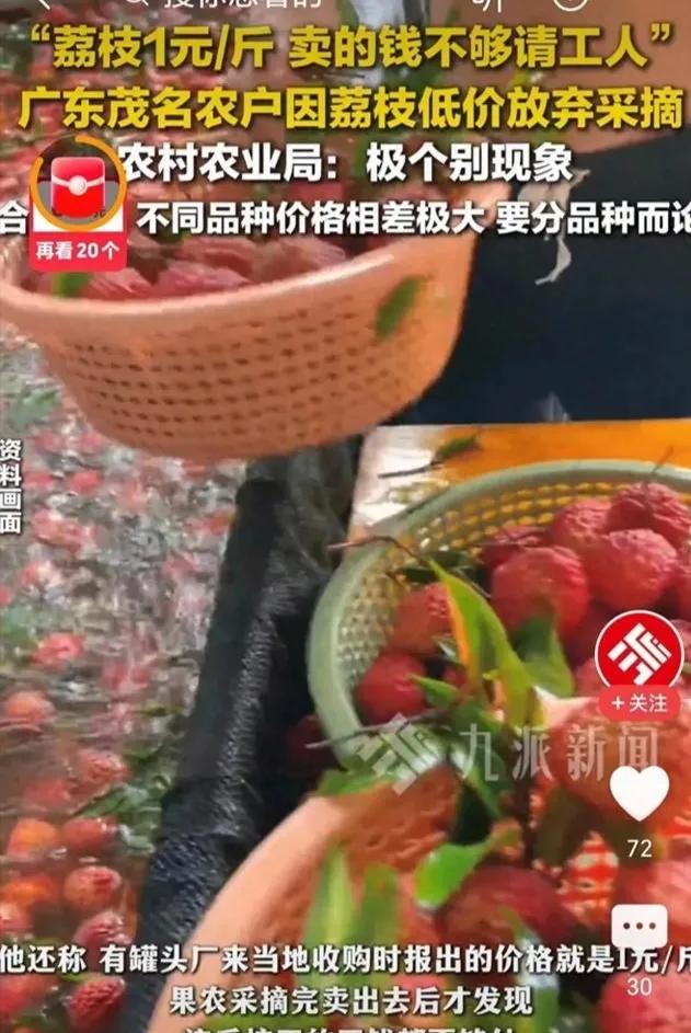 农业供需失衡问题_农产品滞销的原因_丰收滞销农业困境