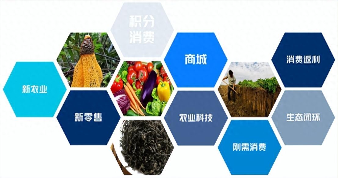 农产品期货不是赌涨跌？3分钟看懂：农民如何锁定价格，超市物价为何跟着变