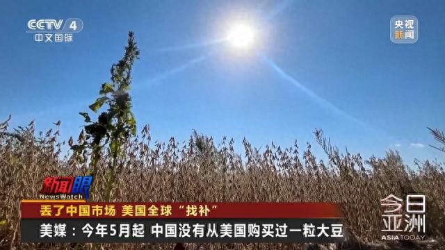 美国大豆滞销，农民苦不堪言！中国一粒都没买，巴西阿根廷抢占市场？国际贸易变局引人深思