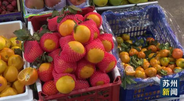 苏州农产品博览会_苏州柿子成熟时间_昆山市太秋甜柿特点