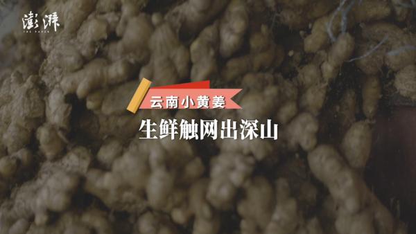 互联网与农业发展_红河农产品供求信息_电商助力乡村振兴