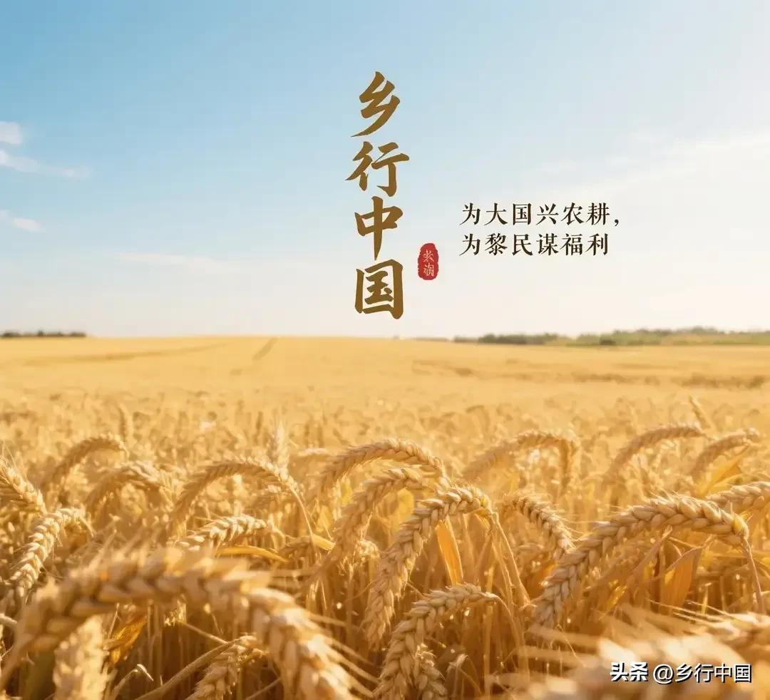 名特优新农产品定义内涵_名特优新农产品申报流程_农产品商标名称大全