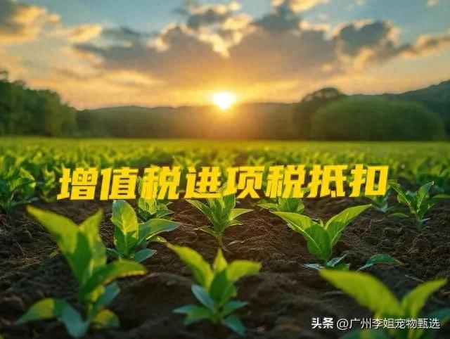农业生产者购进农产品_增值税进项税抵扣条件_农产品进项税额抵扣政策