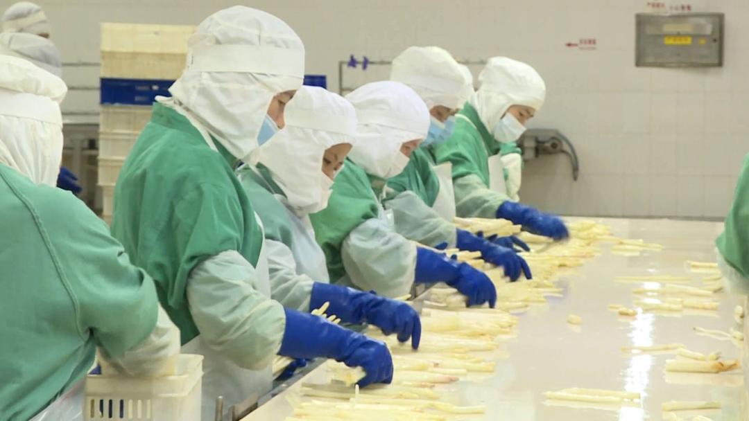 全国农产品出口销冠县 安丘农产品出口 生态农业健康食品_农产品流通企业