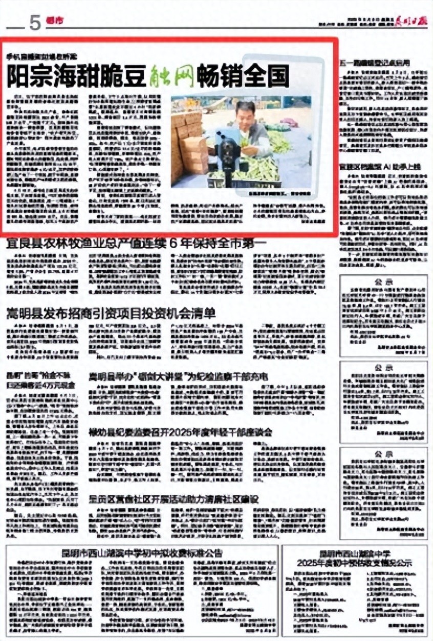 昆明阳宗海甜脆豆直播带货_昆明农产品销售渠道_阳宗海甜脆豆电商销售模式