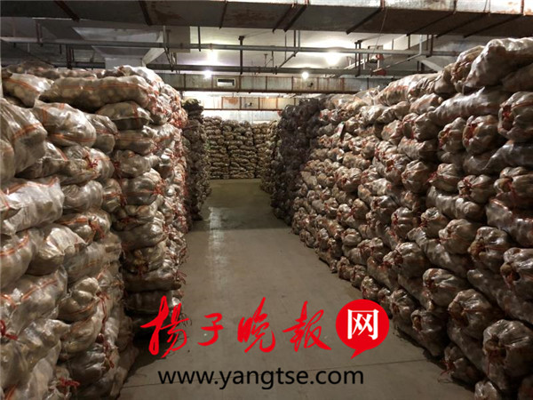 南京农副产品物流中心 蔬菜供应 绿色通道_南京农产品批发网