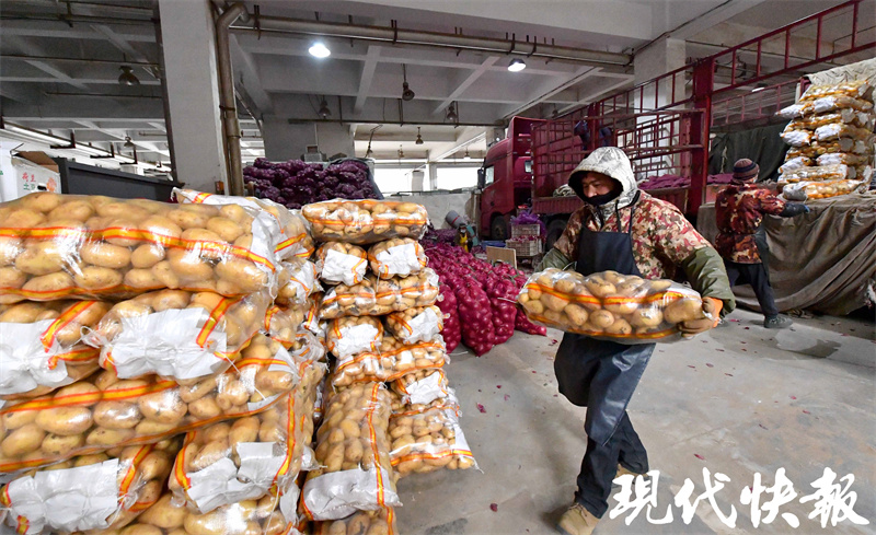 南京众彩市场元旦蔬菜供应_南京菜篮子保供情况_南京农产品批发网