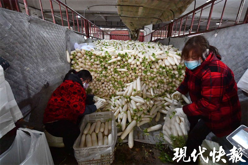 南京菜篮子保供情况_南京众彩市场元旦蔬菜供应_南京农产品批发网