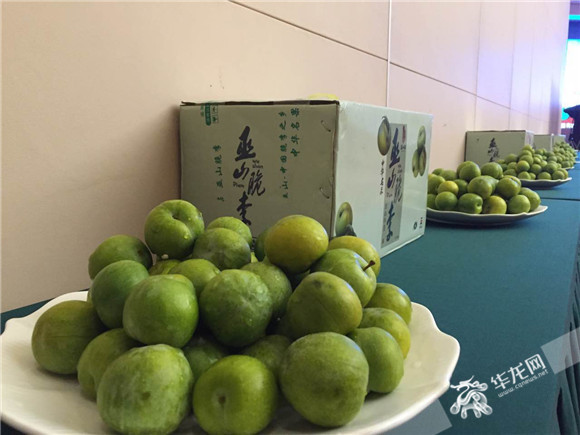 开县春橙央视推介_重庆名牌农产品名单_重庆特色农产品央视广告精准扶贫
