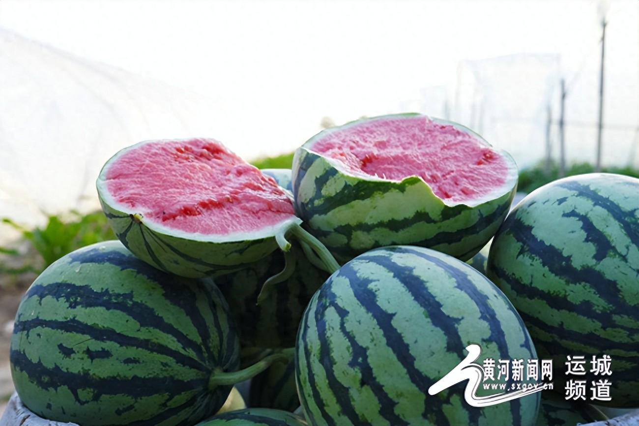 运城特色农产品直播带货_中国人寿财险助农直播运城_山西特色农产品网络营销发展现状