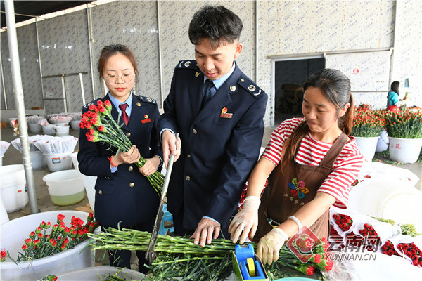 云南国税网农产品管理办法_云南税务助农春耕_税务扶持农产品企业