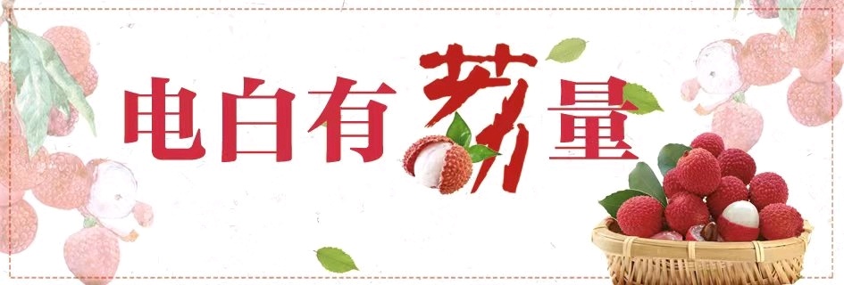 荔枝品种改良推广_珠三角农产品_电白荔枝产业升级