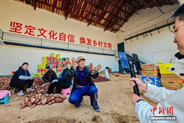 山西特色农产品网络营销发展现状_山西高平直播带货_石末乡红薯产业升级