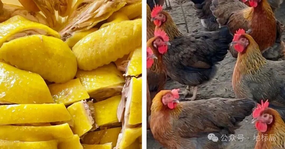 广东应季农产品_珠三角农产品_运动员增肌食谱食材