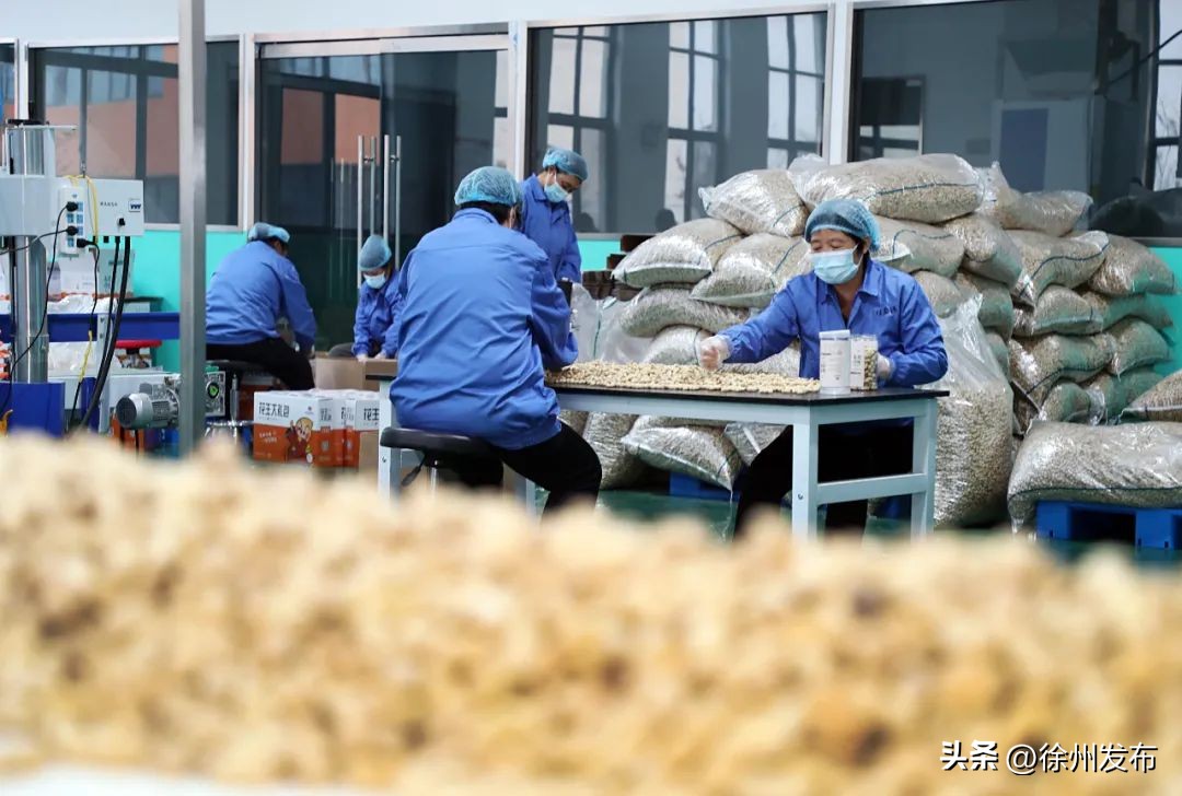 徐州农产品加工业发展现状_徐州农产品加工企业分布_徐州农产品信息