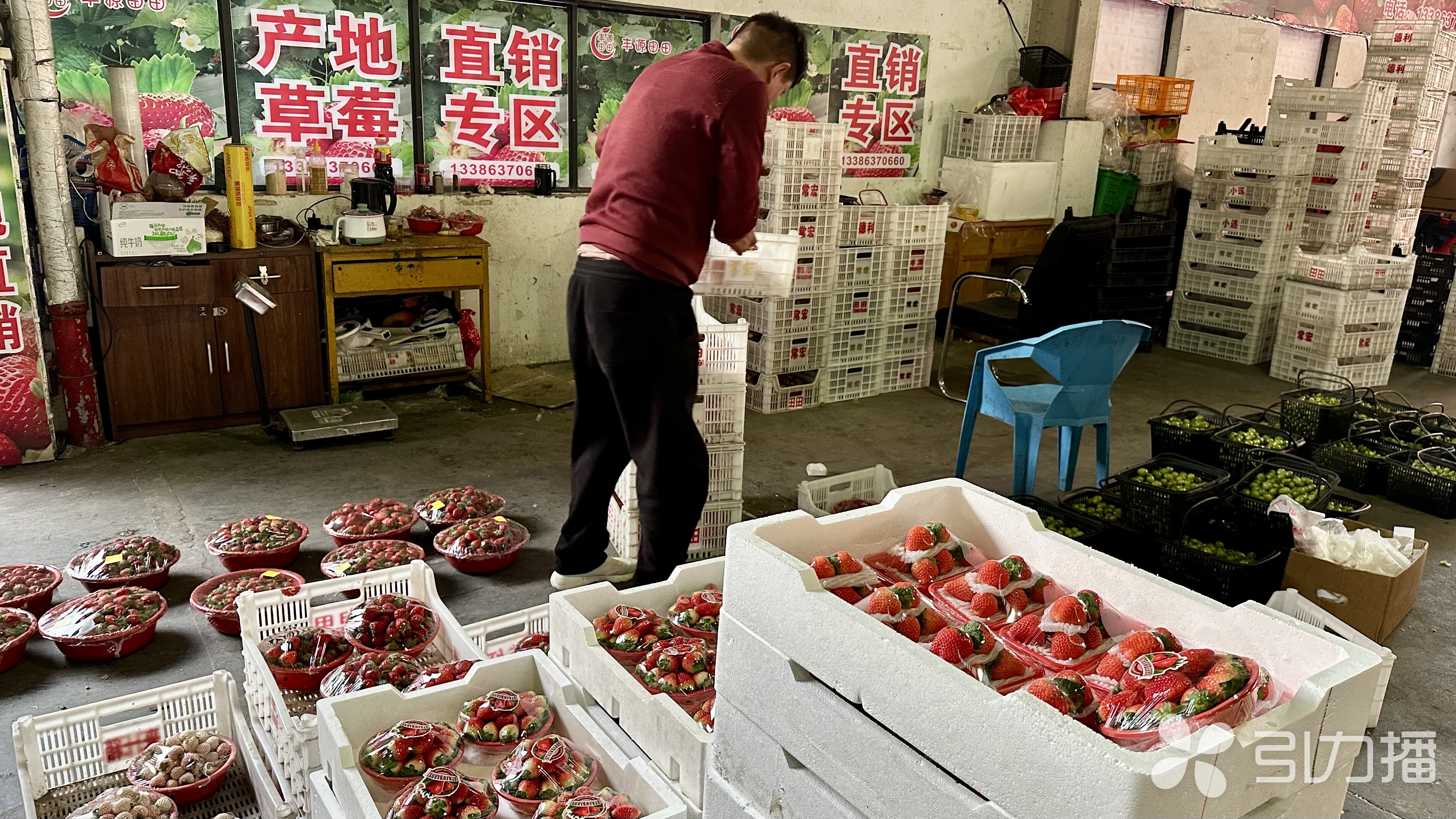 苏州现代农产品物流园地址_外地草莓批发价格_苏州草莓市场