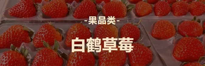 特色农产品_青浦区名特优新农产品_白鹤草莓全国名特优新农产品