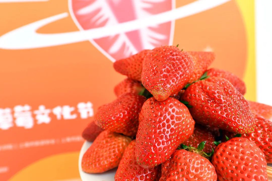 白鹤草莓全国名特优新农产品_特色农产品_青浦区名特优新农产品