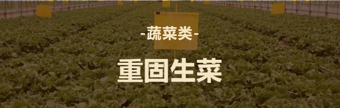 特色农产品_白鹤草莓全国名特优新农产品_青浦区名特优新农产品