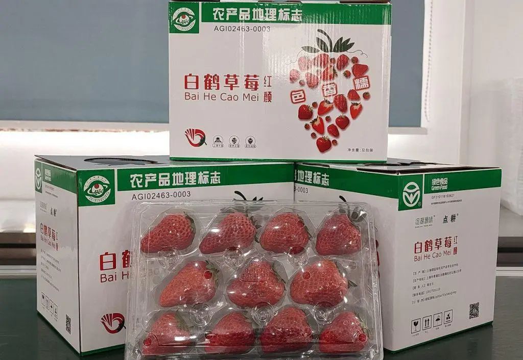 白鹤草莓全国名特优新农产品_青浦区名特优新农产品_特色农产品