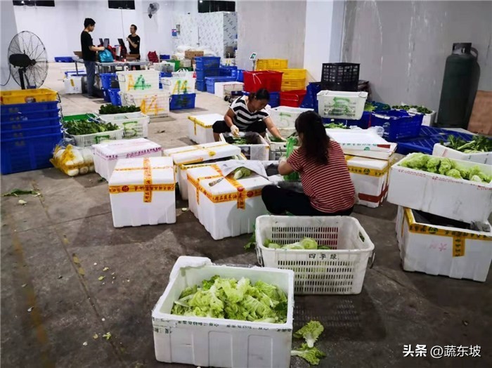 农产品网上交易软件_2025年生鲜配送系统软件排名 蔬东坡生鲜配送系统市场份额 某马科技生鲜配送系统全流程数字化