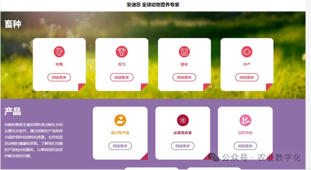 农产品代理网_数字化进度_农业企业业务范围