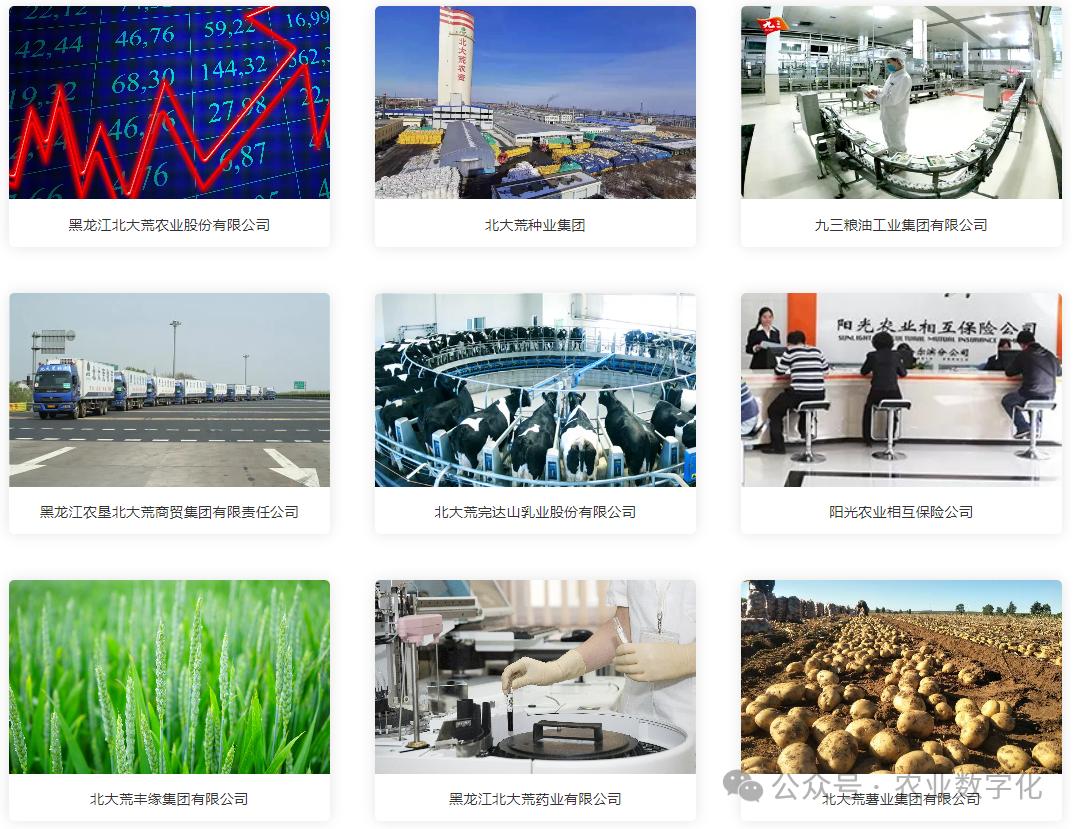 数字化进度_农业企业业务范围_农产品代理网