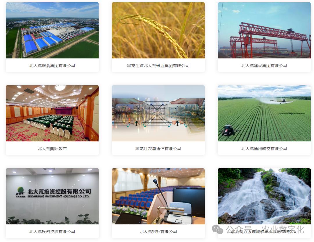 农产品代理网_数字化进度_农业企业业务范围
