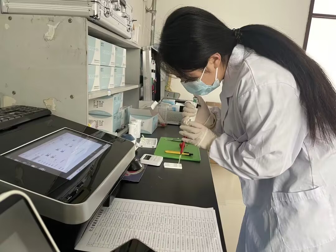 农产品宣传页_农产品质量安全监管_化龙镇放心菜篮子