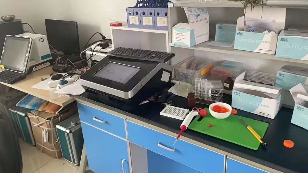 农产品质量安全监管_化龙镇放心菜篮子_农产品宣传页