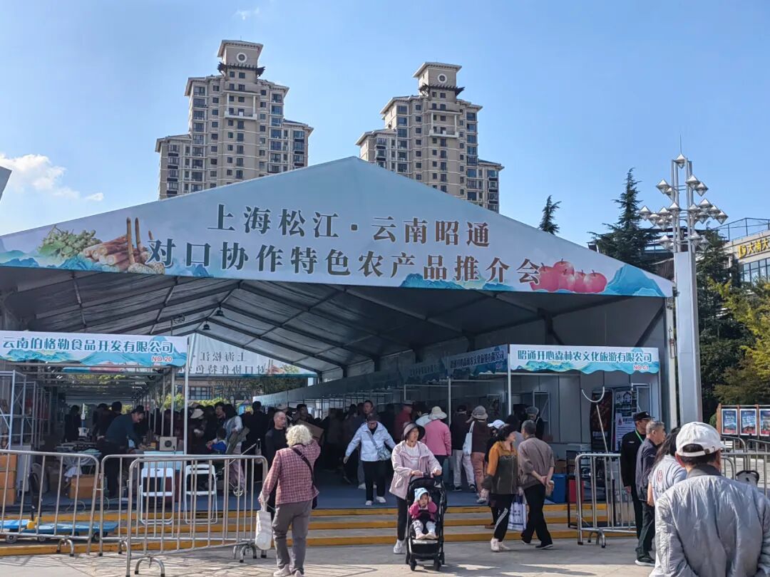 昭通特色农产品松江推介会成果_安徽 上海农产品展销会_2025上海市松江区对口协作昭通特色农产品推介会