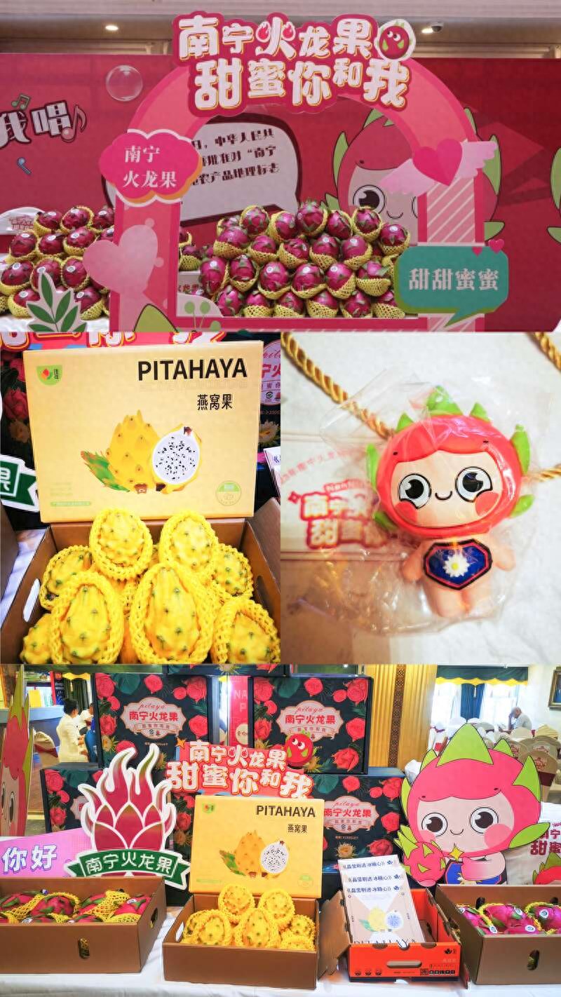 南宁火龙果产业发展案例_南宁 农产品知名品牌_南宁火龙果地理标志农产品
