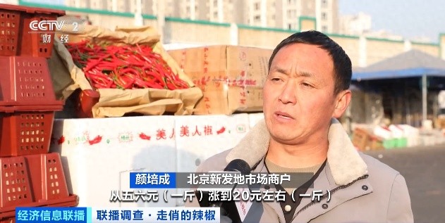 近期辣椒价格上涨_云南辣椒价格涨幅_云南农产品交易网