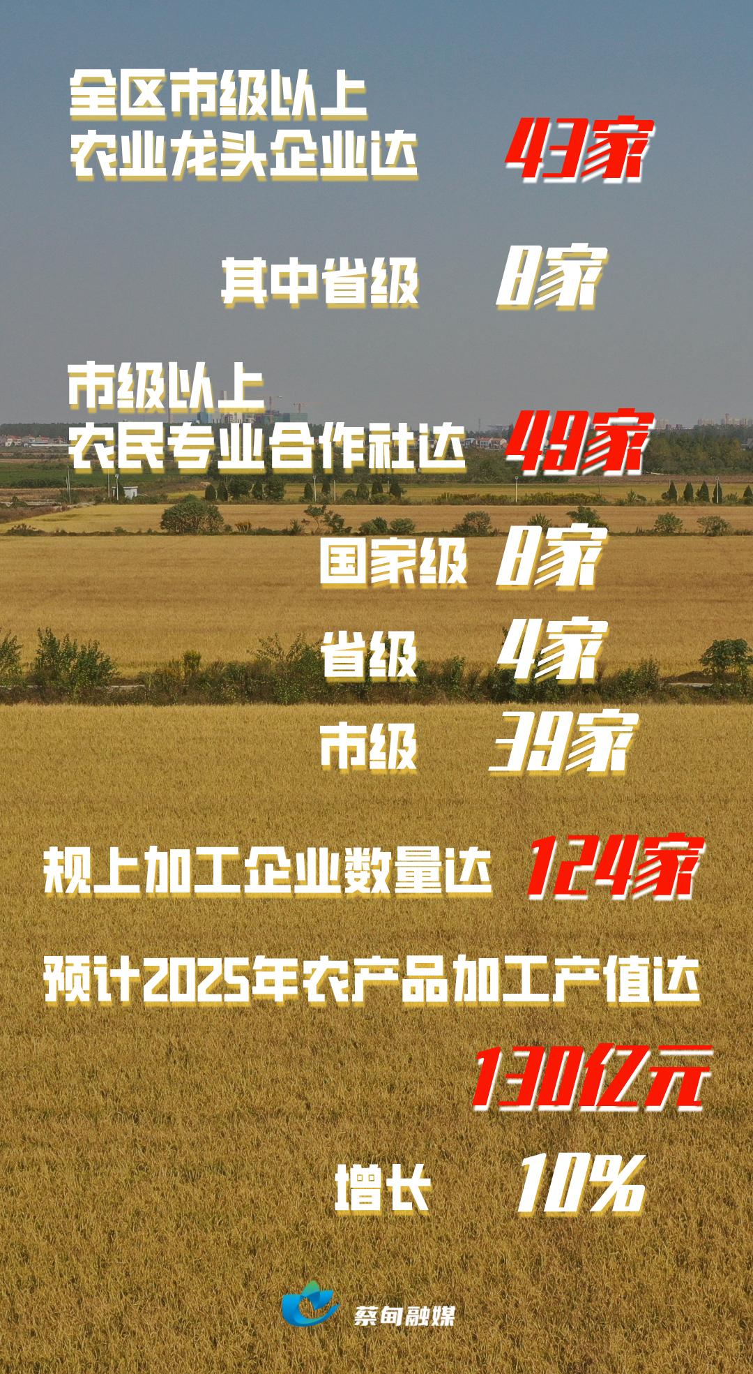 武汉蔡甸农产品品牌建设_农产品品牌名字_蔡甸区农业高质量发展