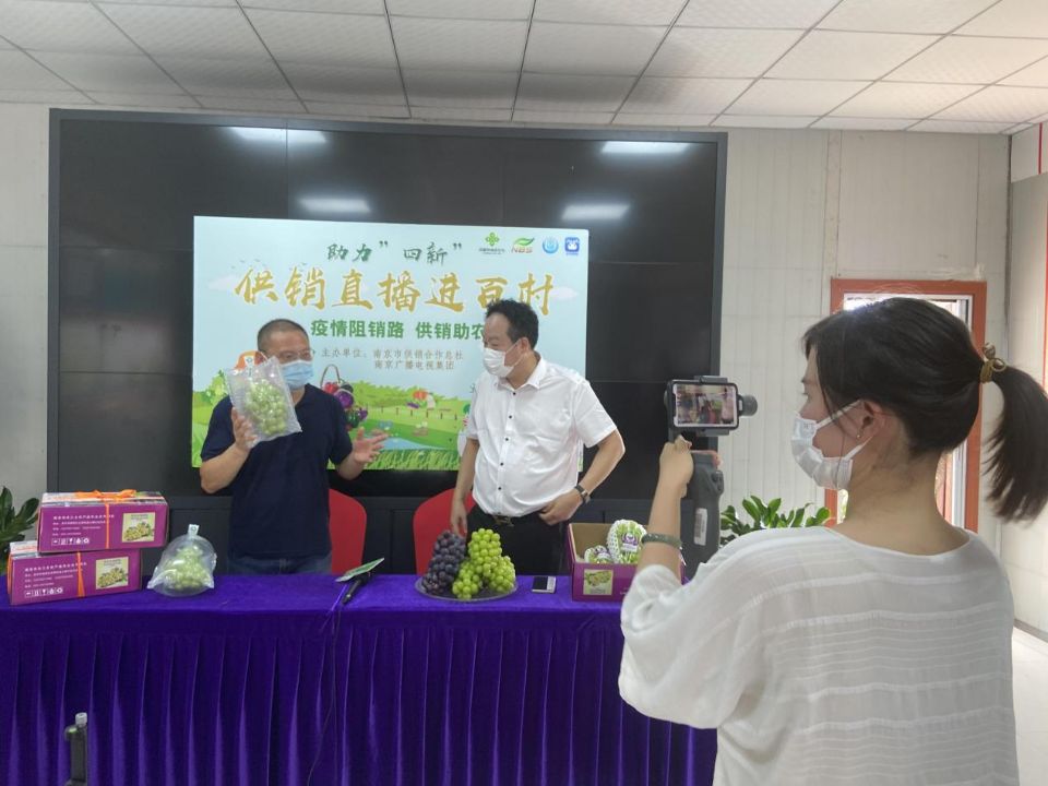 今年滞销的农产品_南京溧水黄桃滞销解决方案_溧水供销社助农模式分析
