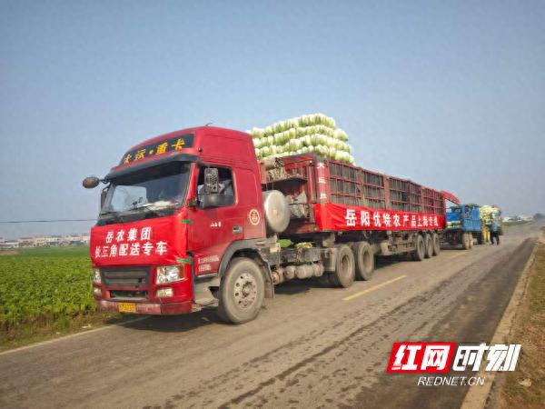 农产品营销渠道创新_岳农集团跨区域农产品供应链_岳农集团订单农业模式