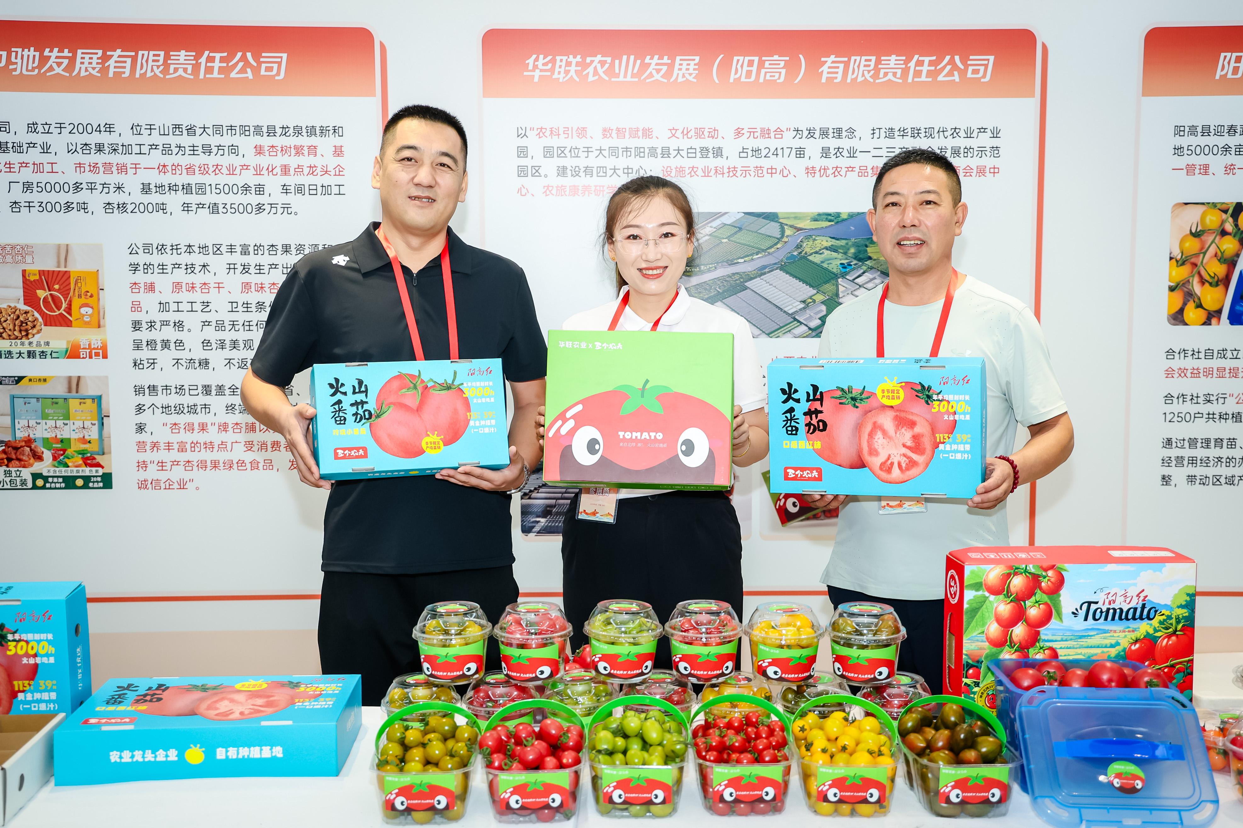农产品对接会_阳高红西红柿产销对接会_阳高县农产品北京推介会