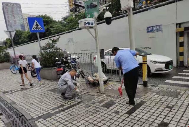 布吉农产品中心批发市场_深圳创建全国文明城市_罗湖区东晓街道党建联席会