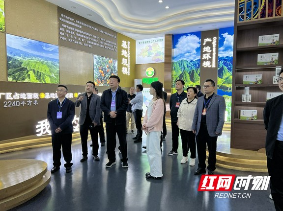 湘西州特色农产品品牌建设调研_特色农产品品牌建设_保靖县茶叶种植基地