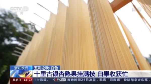 国家地理标志农产品_特色农产品地域品牌_地理标志农产品