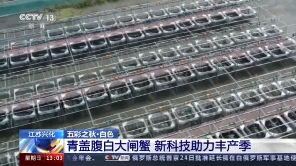 特色农产品地域品牌_国家地理标志农产品_地理标志农产品