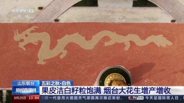 特色农产品地域品牌_国家地理标志农产品_地理标志农产品