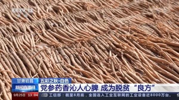 国家地理标志农产品_特色农产品地域品牌_地理标志农产品